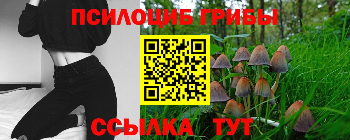 Галлюциногенные грибы MAGIC MUSHROOMS  Вход с VPN  сколько стоит  Отрадное 