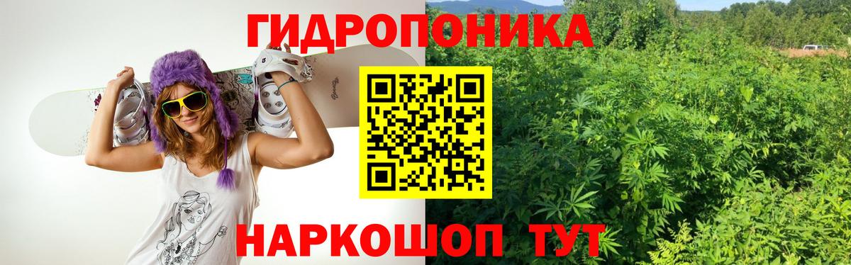 Шишки марихуана ГИДРОПОН Отрадное